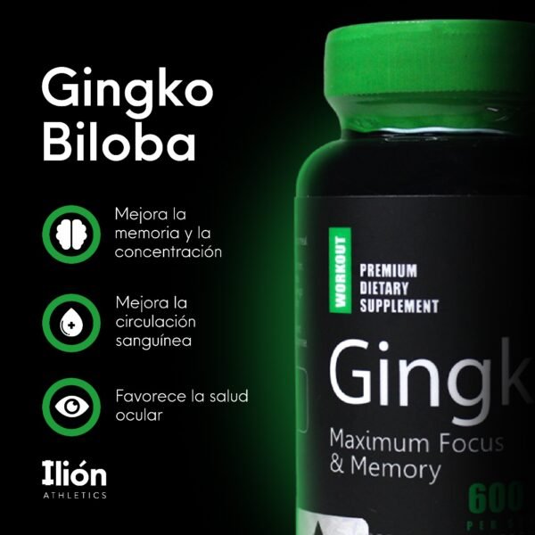 Gingko Biloba Workout 600mg