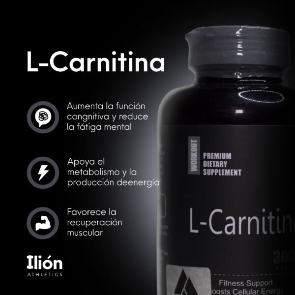 L - Carnitina 3.000 mg