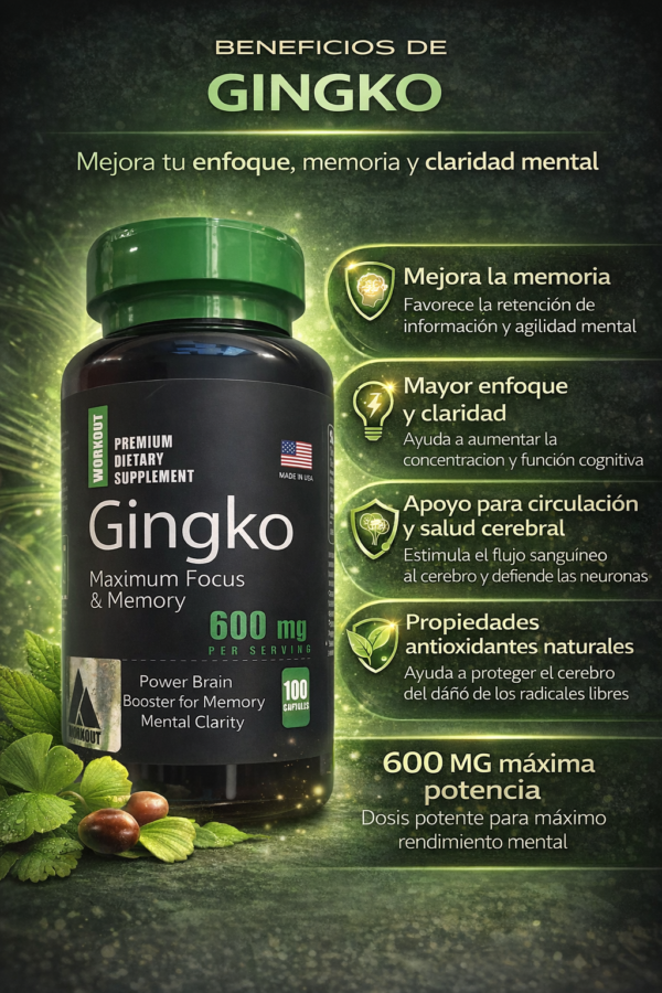 Gingko Biloba Workout 600mg
