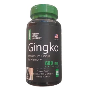 Gingko Biloba Workout 600mg